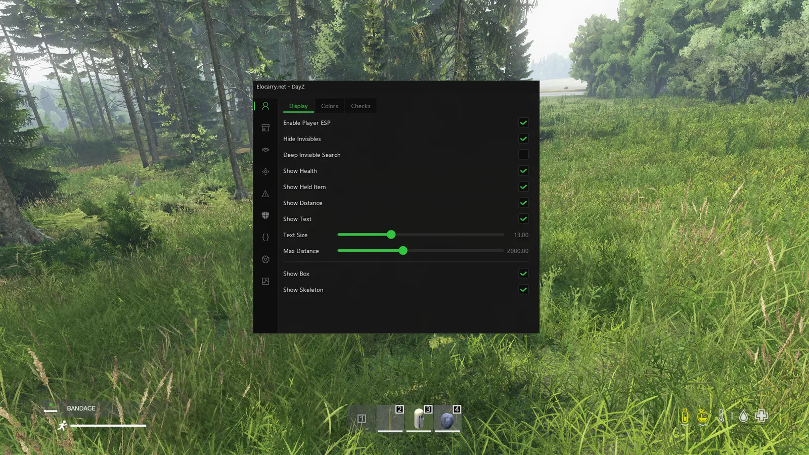 DayZ cheat in-game