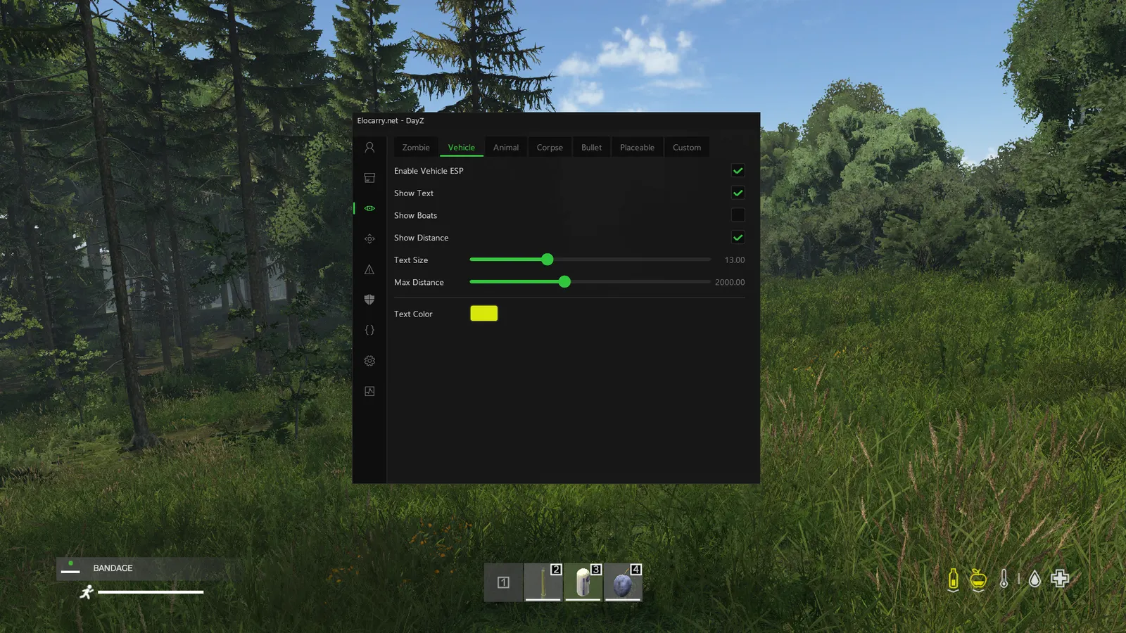 DayZ cheat — Vehicle ESP