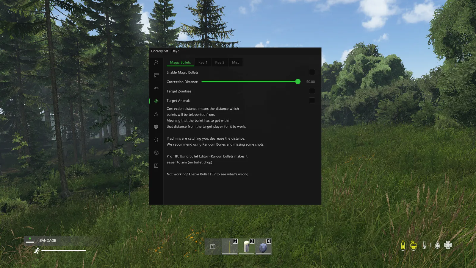 DayZ cheat — Magic bullet