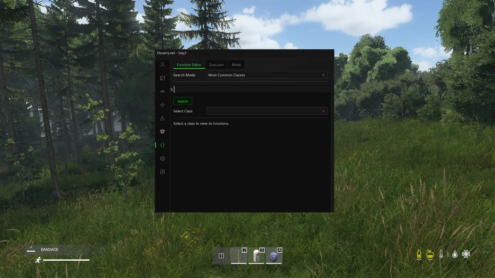 DayZ cheat — Script editor